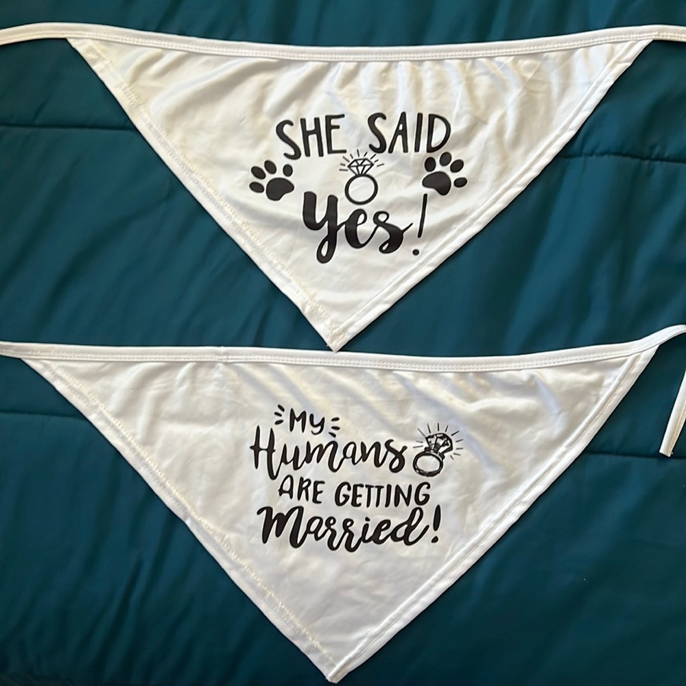 Pet Wedding Bandannas 2